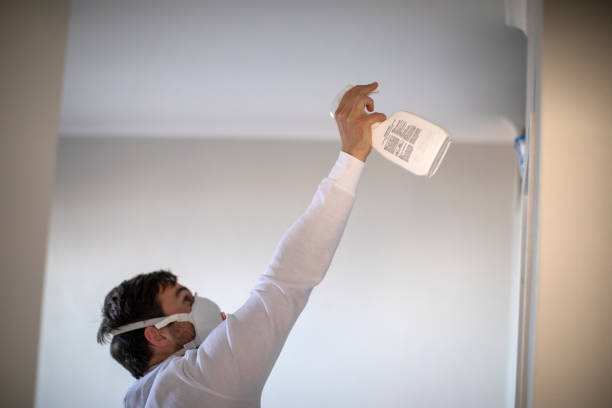 Best Local Mold Removal Service  in Tulsa, OK